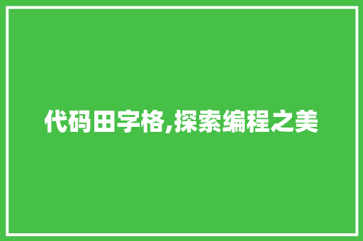 代码田字格,探索编程之美 网站优化