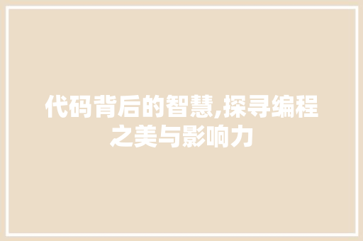 代码背后的智慧,探寻编程之美与影响力 seo技术