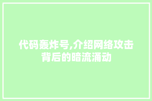 代码轰炸号,介绍网络攻击背后的暗流涌动