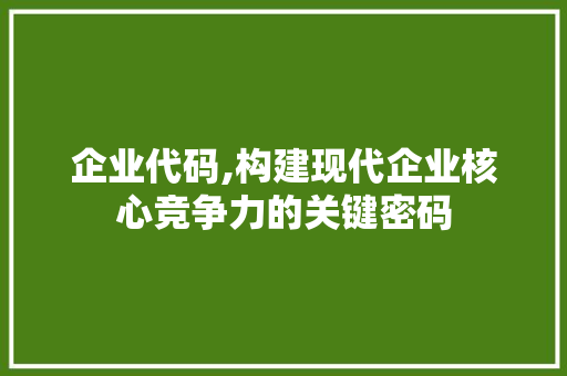 企业代码,构建现代企业核心竞争力的关键密码