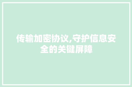 传输加密协议,守护信息安全的关键屏障