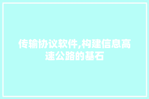 传输协议软件,构建信息高速公路的基石