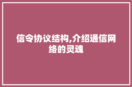 信令协议结构,介绍通信网络的灵魂 网站优化