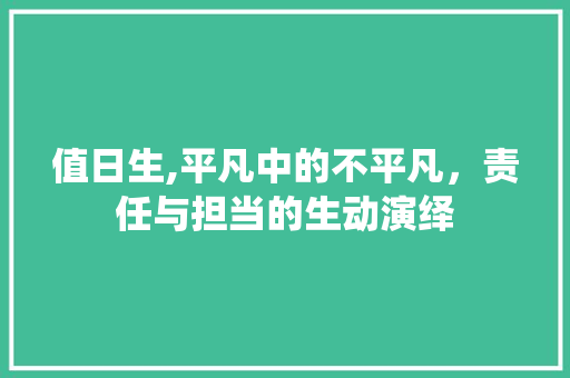值日生,平凡中的不平凡，责任与担当的生动演绎