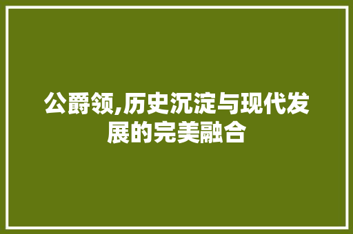 公爵领,历史沉淀与现代发展的完美融合
