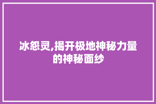 冰怨灵,揭开极地神秘力量的神秘面纱