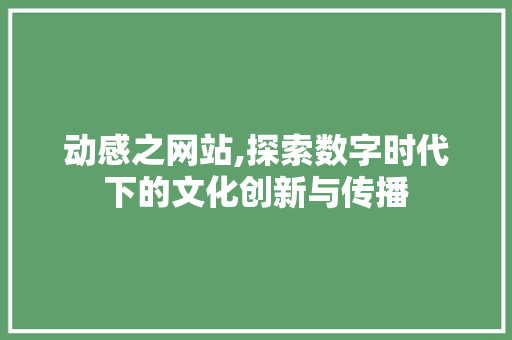 动感之网站,探索数字时代下的文化创新与传播 英文谷歌算法