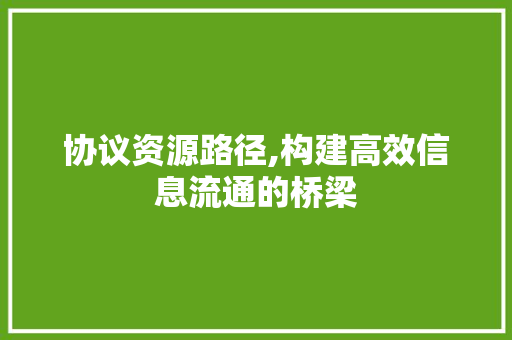 协议资源路径,构建高效信息流通的桥梁