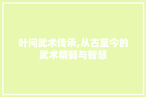 叶问武术传承,从古至今的武术精髓与智慧 seo技术