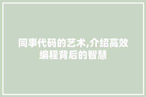 同事代码的艺术,介绍高效编程背后的智慧