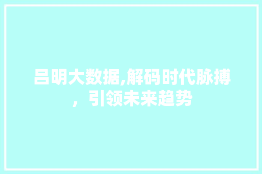 吕明大数据,解码时代脉搏，引领未来趋势