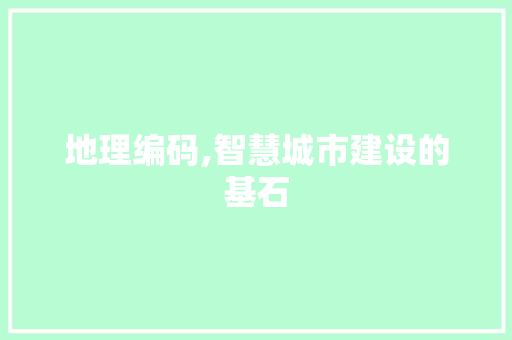地理编码,智慧城市建设的基石