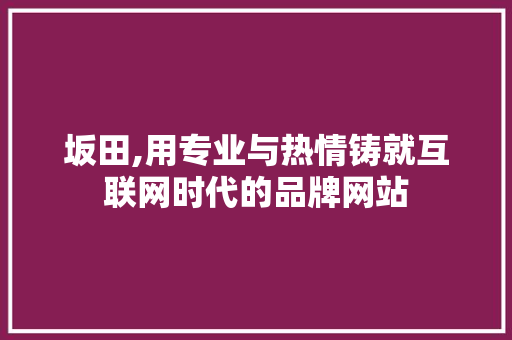 坂田,用专业与热情铸就互联网时代的品牌网站