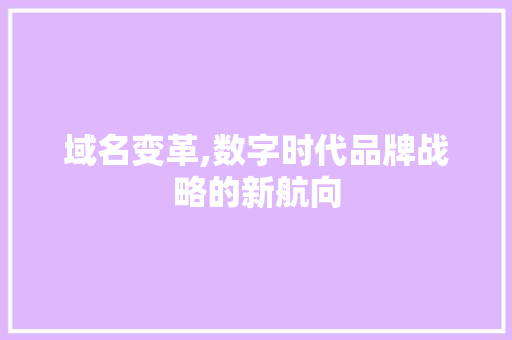 域名变革,数字时代品牌战略的新航向