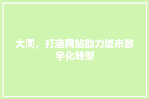 大同，打造网站助力城市数字化转型 头条优化