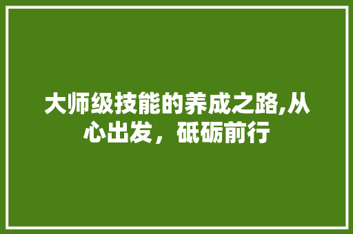 大师级技能的养成之路,从心出发，砥砺前行 seo技术