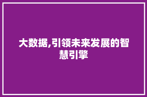大数据,引领未来发展的智慧引擎 搜狗优化