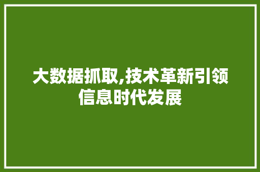 大数据抓取,技术革新引领信息时代发展 AI技术学习