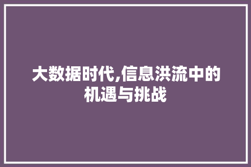 大数据时代,信息洪流中的机遇与挑战