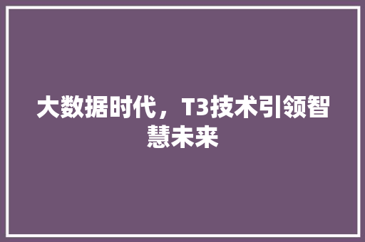 大数据时代，T3技术引领智慧未来 百度算法