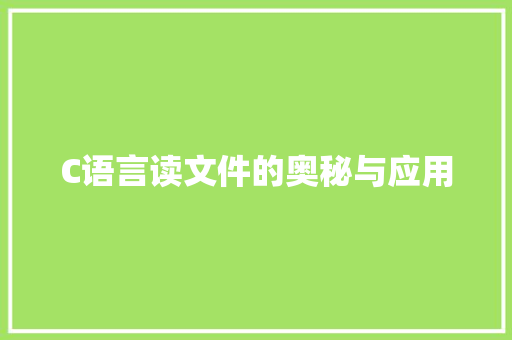 C语言读文件的奥秘与应用 英文谷歌算法