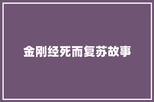 G2V2协议,构建未来智能网络的基石