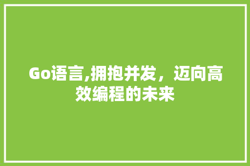 Go语言,拥抱并发，迈向高效编程的未来