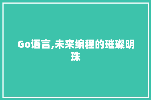 Go语言,未来编程的璀璨明珠