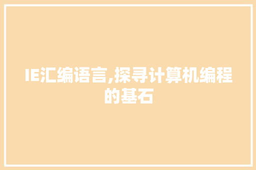 IE汇编语言,探寻计算机编程的基石