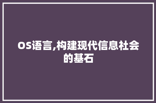 OS语言,构建现代信息社会的基石