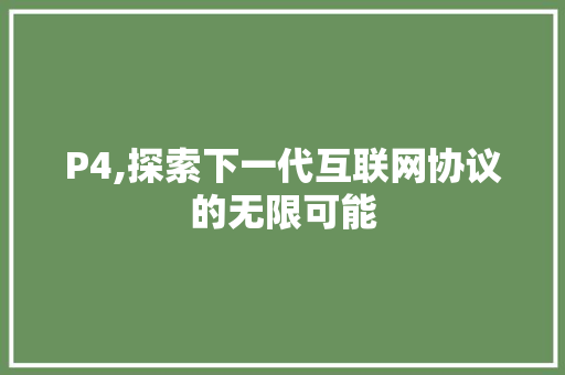 P4,探索下一代互联网协议的无限可能 网站优化