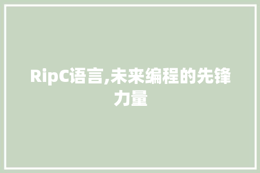 RipC语言,未来编程的先锋力量 网站优化 RipC语言,未来编程的先锋力量 网站优化
