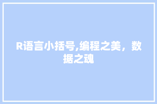 R语言小括号,编程之美，数据之魂