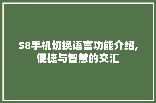 S8手机切换语言功能介绍,便捷与智慧的交汇