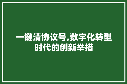 一键清协议号,数字化转型时代的创新举措