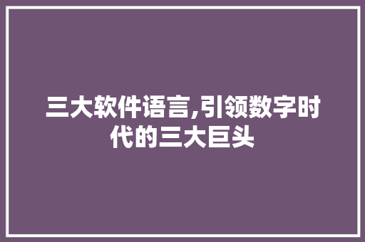 三大软件语言,引领数字时代的三大巨头