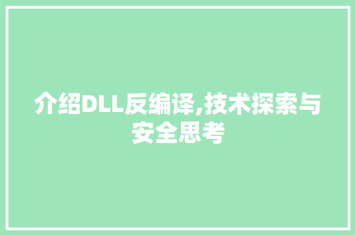 介绍DLL反编译,技术探索与安全思考