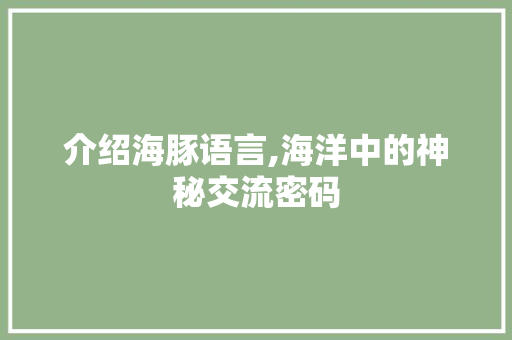 介绍海豚语言,海洋中的神秘交流密码