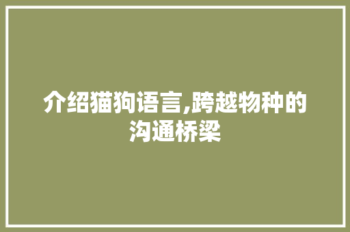 介绍猫狗语言,跨越物种的沟通桥梁 头条优化