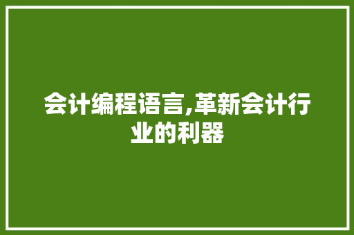 会计编程语言,革新会计行业的利器