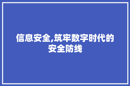 信息安全,筑牢数字时代的安全防线
