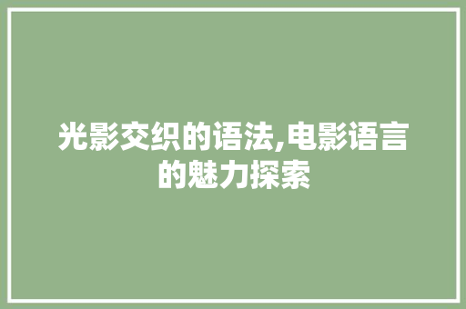 光影交织的语法,电影语言的魅力探索