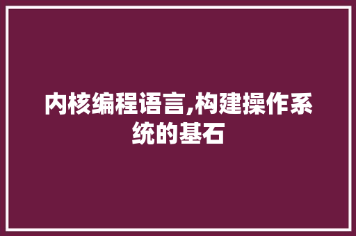 内核编程语言,构建操作系统的基石