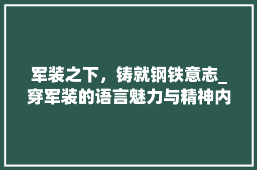 军装之下，铸就钢铁意志_穿军装的语言魅力与精神内涵 百度算法