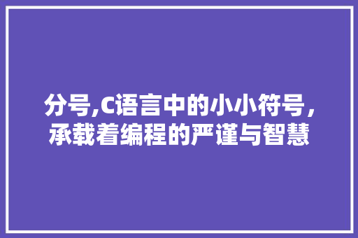 分号,C语言中的小小符号，承载着编程的严谨与智慧 seo技术