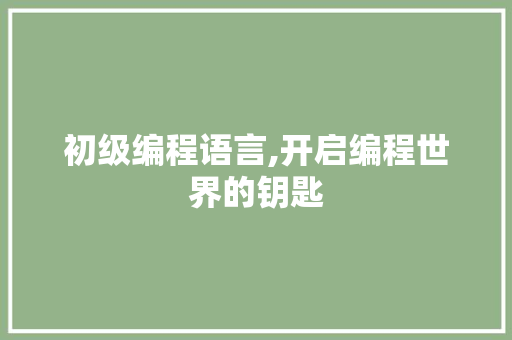 初级编程语言,开启编程世界的钥匙 AI技术学习