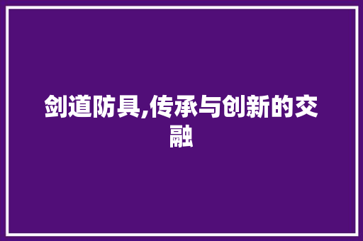 剑道防具,传承与创新的交融