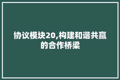 协议模块20,构建和谐共赢的合作桥梁