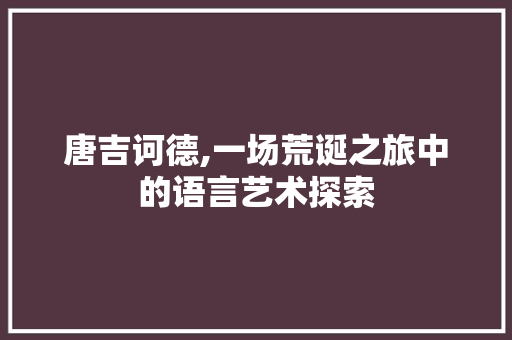 唐吉诃德,一场荒诞之旅中的语言艺术探索 小程序开发