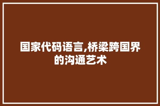 国家代码语言,桥梁跨国界的沟通艺术